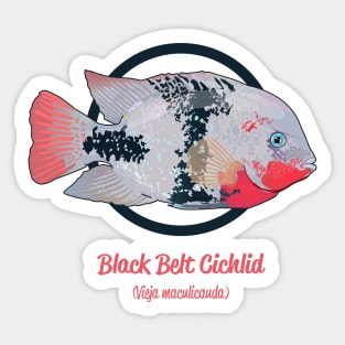 Black Belt Cichlid Sticker